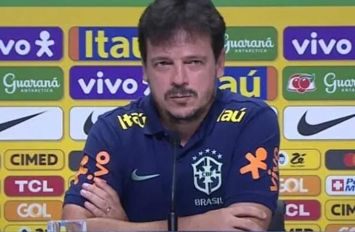 Fernando Diniz é o técnico do Brasil