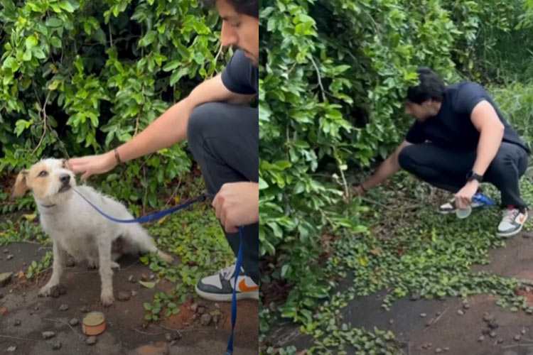 Apresentador da Record resgata cachorra abandonada e compartilha o momento: ‘Agora está tudo bem’