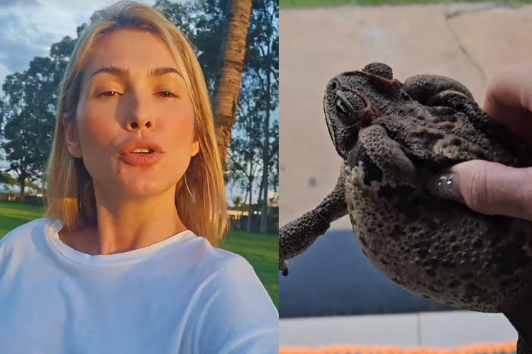 Lívia Andrade pega sapo na mão e dispara: ‘Menos veneno que a língua do povo’