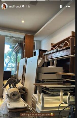 Mel Fronckowiak (Reprodução: Instagram)