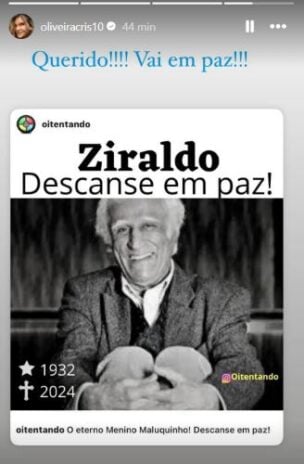 Cristiana Olvieira homenageando Ziraldo (Reprodução: Instagram)