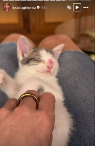 Luciana compartilhando um momento fofo com a gatinha (Reprodução: Instagram)