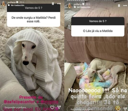 Poliana Rocha (Foto: Reprodução Instagram)