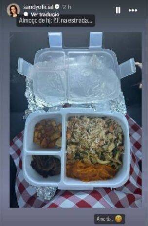 Sandy mostrando o prato feito (Reprodução: Instagram)