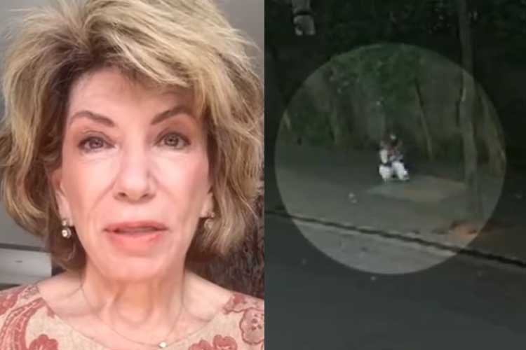‘Balanço Geral’ mostra momento em que Silvia Poppovic é assaltada: ‘Não tem ninguém na rua’