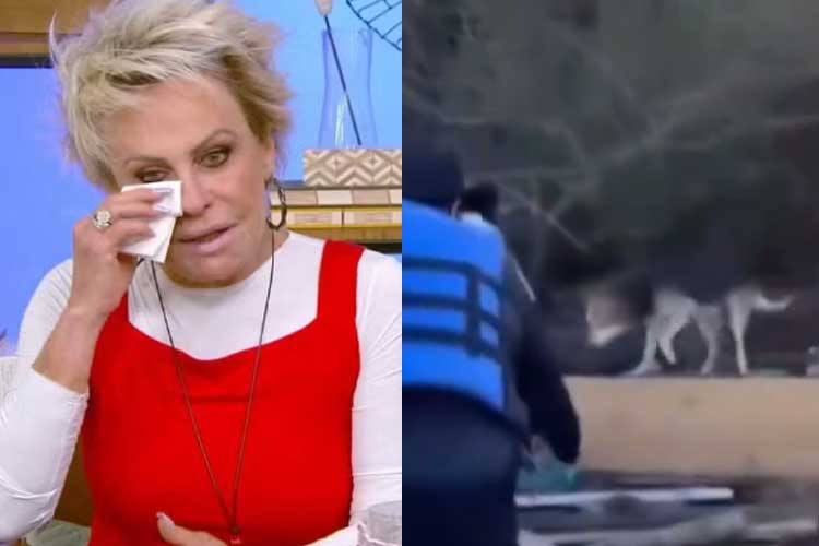 ‘Mais Você’ mostra reencontro emocionante de dona e cachorrinho de 15 anos no RS: ‘Eu só quero ele’