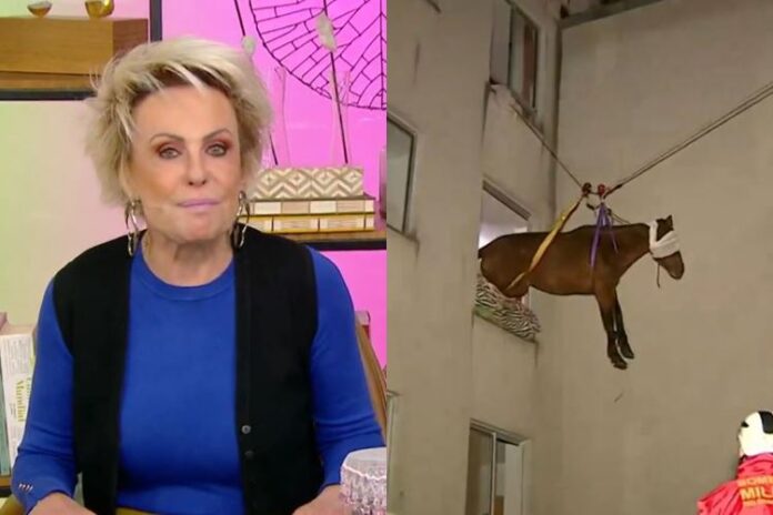 Ana Maria Braga mostra resgate de égua no Mais Você Ana Maria Braga mostra resgate de égua no Mais Você