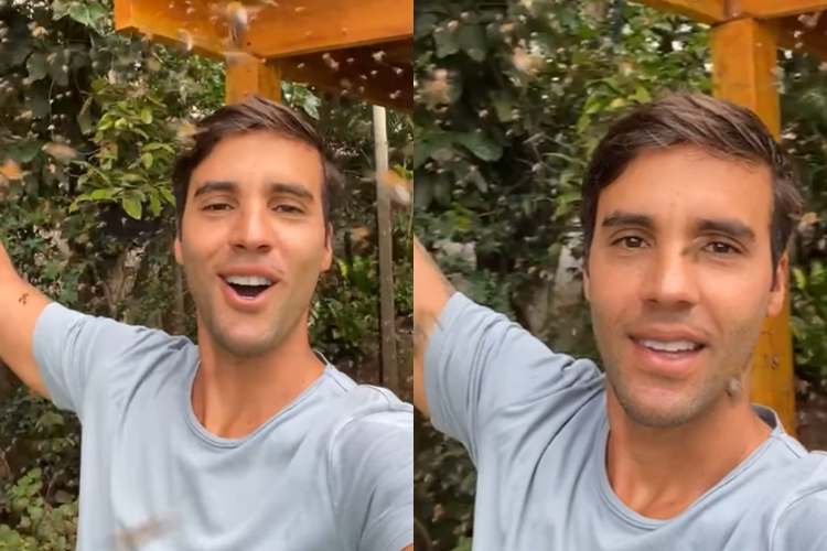 Daniel Cady, marido de Ivete Sangalo, celebra ‘Dia Mundial das Abelhas’ após acidente com marimbondo