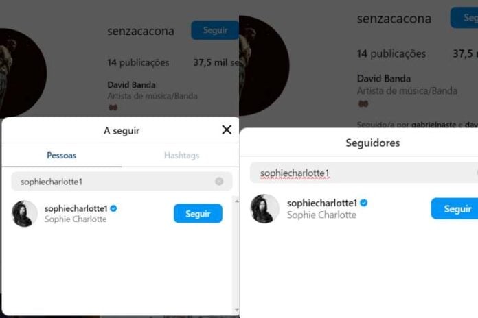 David e Sophie realmente se seguem (Reprodução: Instagram)