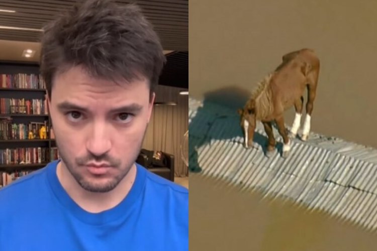 Felipe Neto pagará helicóptero para salvar cavalo ilhado em enchente no RS: “Precisamos salvar”