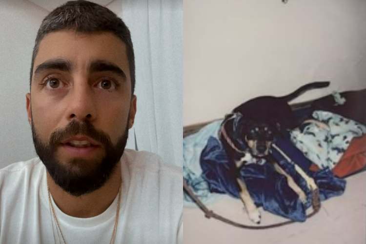 Pedro Scooby faz revelação sobre cachorro resgatado em tragédia do Rio Grande do Sul