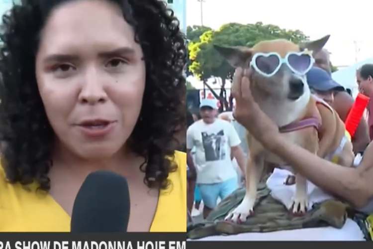 Repórter da GloboNews é mordida por cachorra e interrompe transmissão ao vivo: “Vai virar meme”