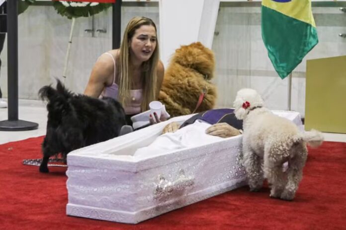 Andreia e os pets - Foto: Leo Franco/ Agnews Andreia e os pets - Foto: Leo Franco/ Agnews