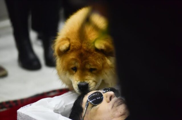 Cachorro com Nahim - Foto: Leo Franco/ Agnews