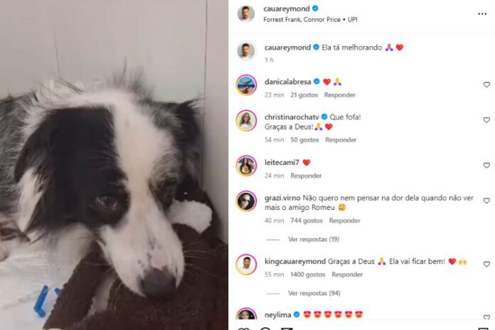 Cauã Cauã relatando o estado de saúde da Shakira (Reprodução: Instagram)