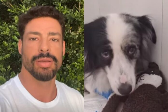 Cauã Reymond Cauã Reymond e Shakira (Reprodução: Instagram)