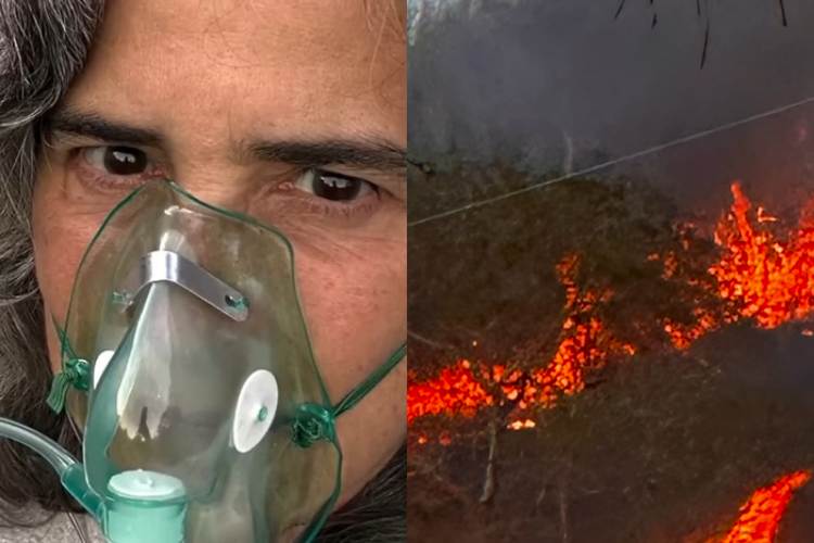 Fazenda de Lúcia Veríssimo pega fogo após ser invadida e atriz é socorrida: “Fiquei no oxigênio”