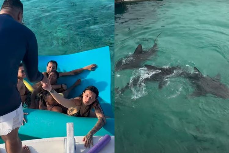 Xanddy e filhos ficam cara a cara com tubarões durante passeio de lancha