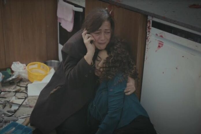 Força de Mulher Força de Mulher