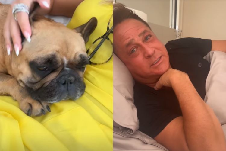 Poliana Rocha relata comportamento do pet da família e Leonardo brinca de forma inusitada: “Isso é um cachorro?”