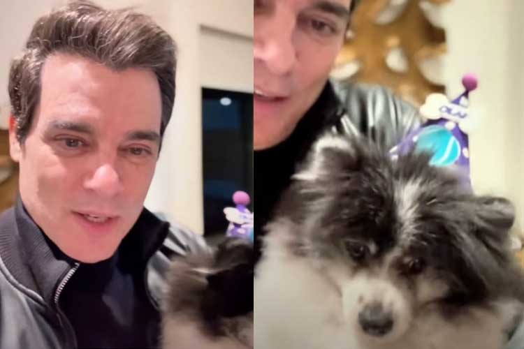 Celso Portiolli celebra aniversário de pet com bolo ‘diferentão’: ‘Olha só’