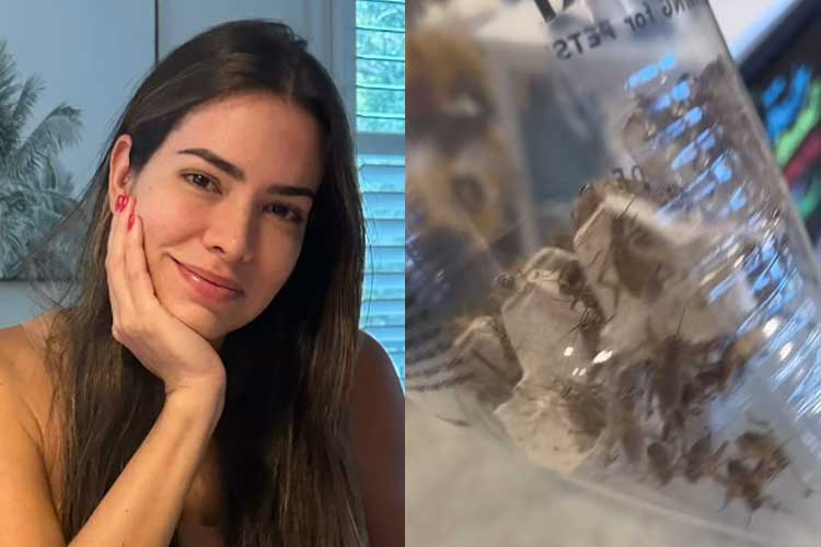 Ex-BBB Adriana Sant’Anna compra 51 grilos vivos e explica motivo: ‘Ele ama’