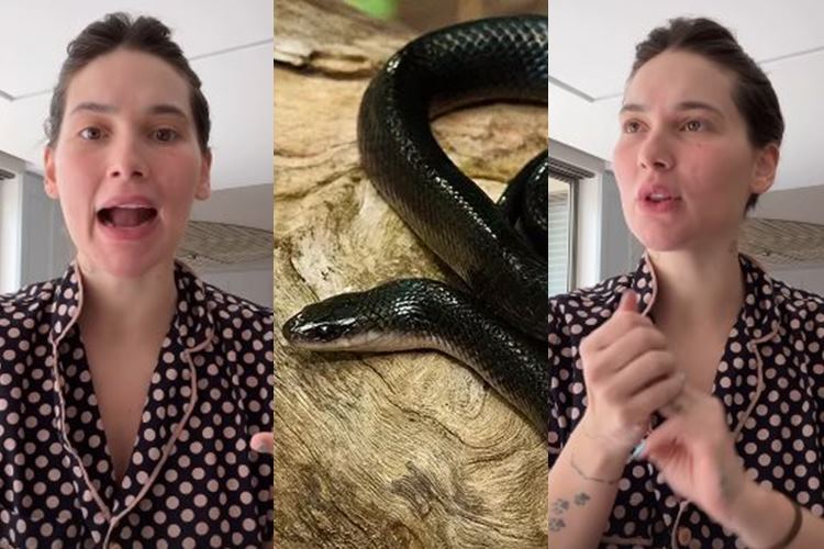 Cobras invadem mansão de Virginia Fonseca e influencer se desespera após tomar drástica atitude