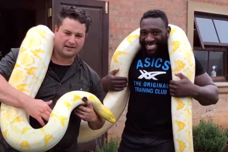 Youtuber morre após ser picado por cobra venenosa