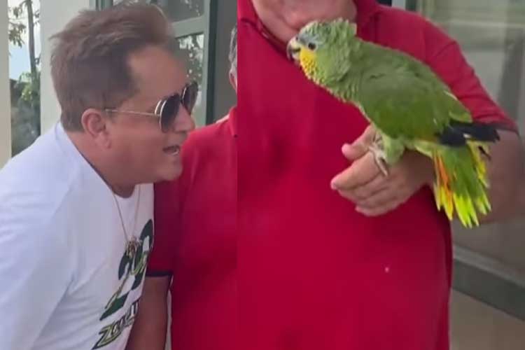 Papagaio cai na risada ao ser confrontado por Leonardo