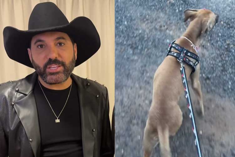 Edson, da dupla com Hudson, tem linda atitude durante show e conquista o coração dos fãs