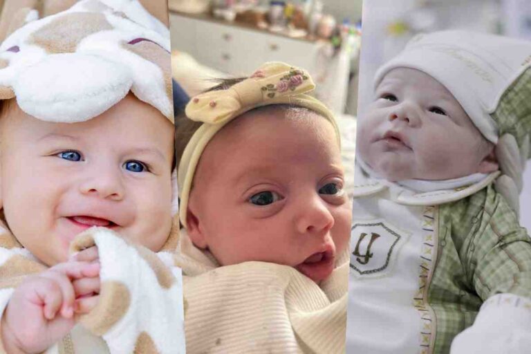 Retrospectiva: Os bebês de famosos que nasceram em 2024