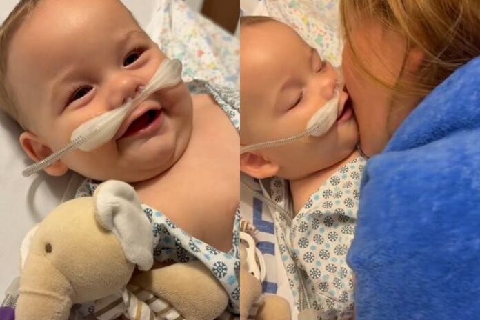 José Leonardo e Virginia Fonseca José Leonardo e Virginia Fonseca - Foto: Instagram