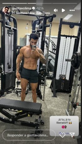 Post de Gusttavo Lima - Instagram Stories