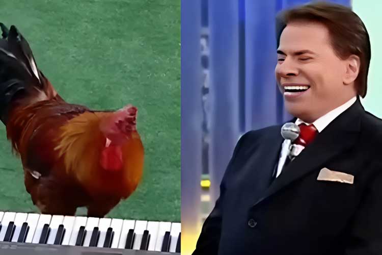 Patrícia Abravanel provoca saudade ao relembrar momento icônico de Silvio Santos: ‘Ele faz falta’