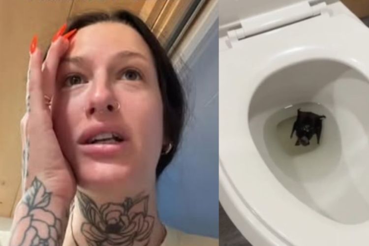 Alison Doyl Alison Doyl