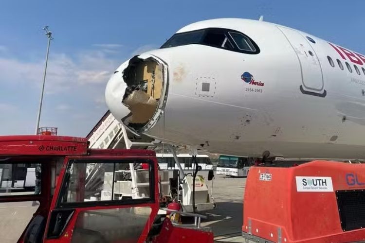 Avião colide com pássaros Avião colide com pássaros