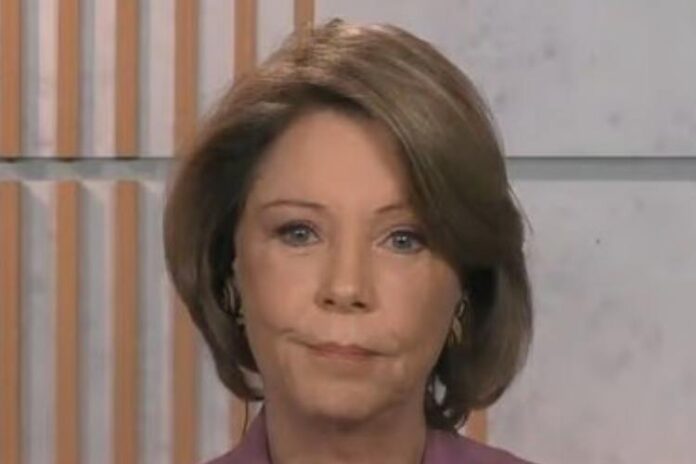 Eliane Cantanhêde (Reprodução: TV Globo)