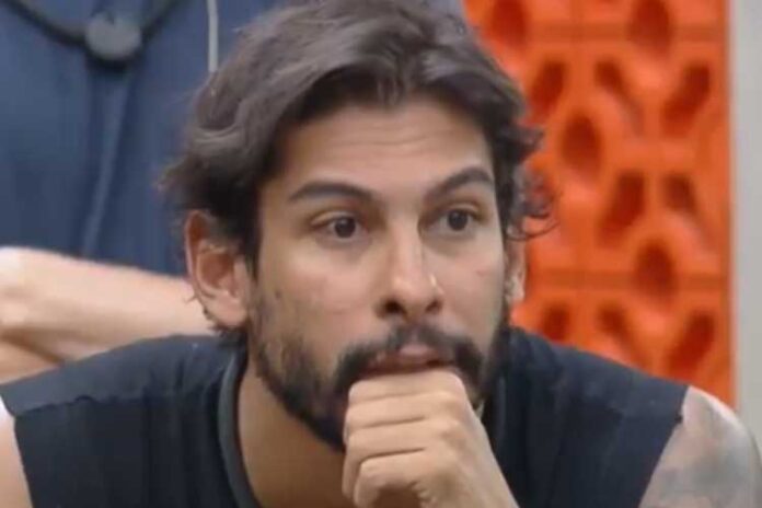 Shia Phoenix Shia Phoenix