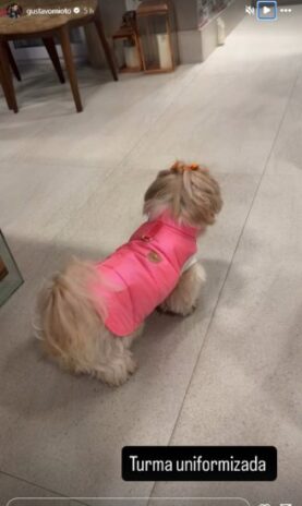 Post do Gustavo Mioto 