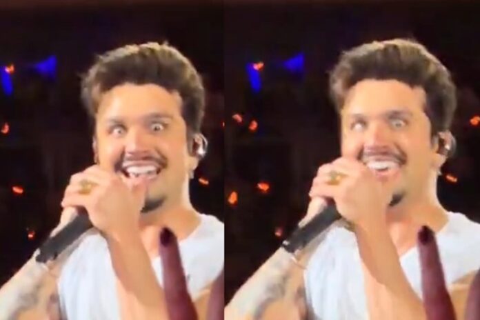 Luan Santana (Foto: Reprodução)