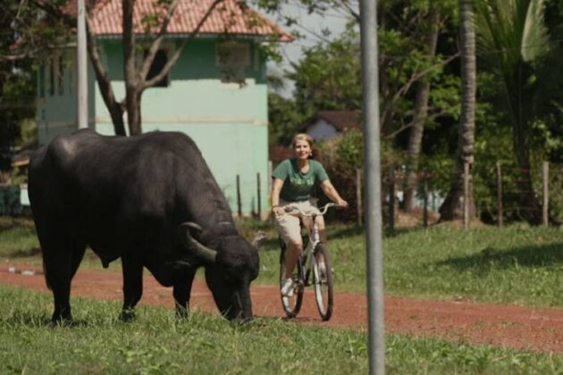 Globo Repórter - Ilha do Marajó