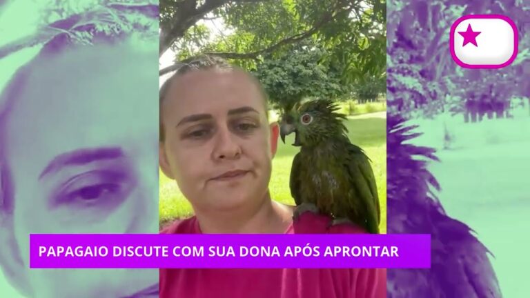 Papagaio discute com a própria dona após aprontar: “Não grita comigo, não!”