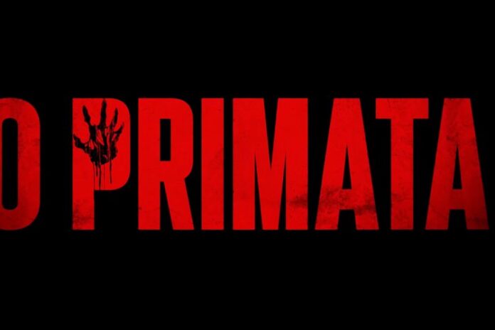 PRIMATA PRIMATA - Foto: Divulgação