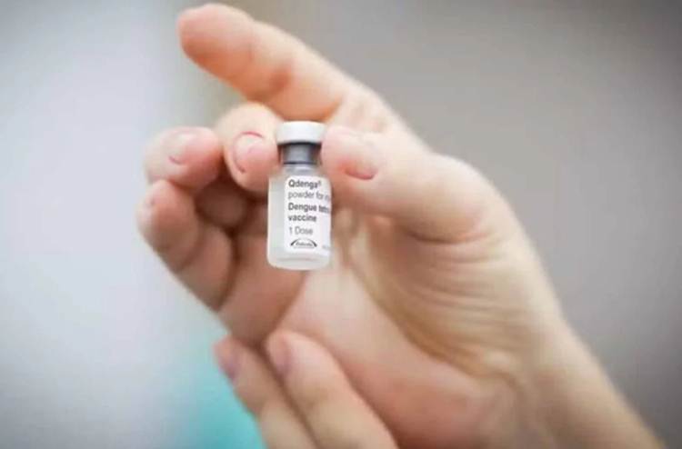 Dengue - Divulgação Butantan