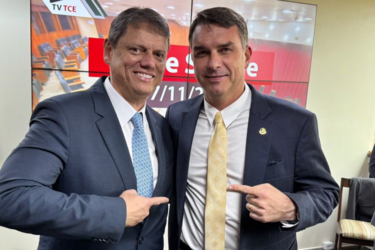 Tarcísio de Freitas e Flávio Bolsonaro