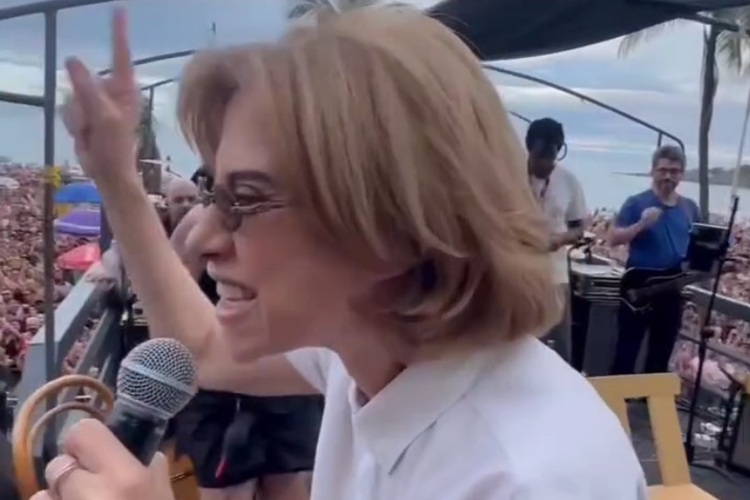 Fernanda Torres (Foto: Reprodução)