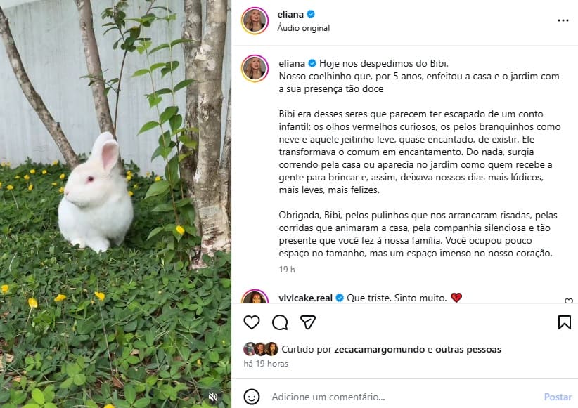 Eliana se despede de coelho de estimação (Foto: Instagram)