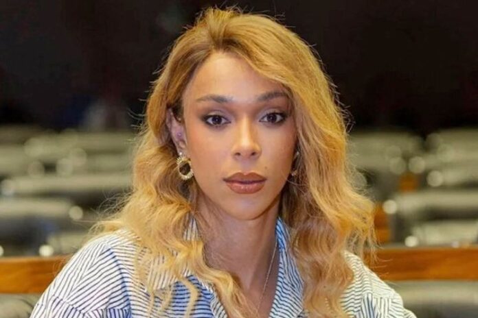 Erika Hilton - Foto: Divulgação/Câmara 