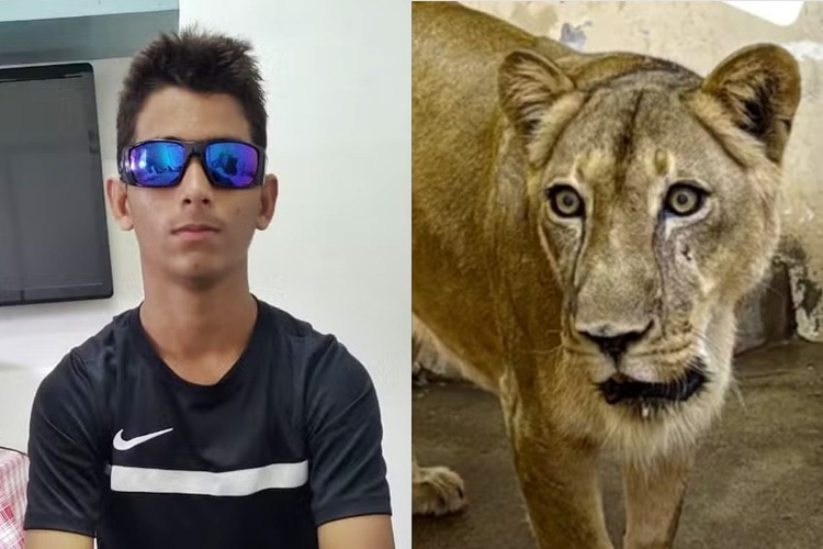 Jovem morto por leoa lutava contra problema grave de saúde e prima diz a verdade ao Brasil