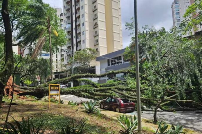 Grande São Paulo - Foto: TV Globo